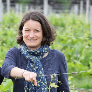 Marie COURSELLE